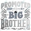 Promoted to Big Brother