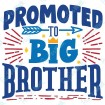 Promoted to Big Brother