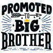Promoted to Big Brother