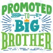 Promoted to Big Brother