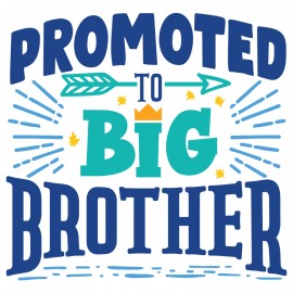 Promoted to Big Brother