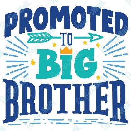 Promoted to Big Brother