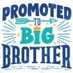 Promoted to Big Brother