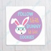 Follow that Bunny He Has Cookies