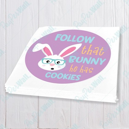 Follow that Bunny He Has Cookies