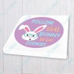 Follow that Bunny He Has Cookies