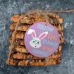 Follow that Bunny He Has Cookies