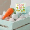 Bunny Bait