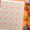Farm Fresh Pumpkins