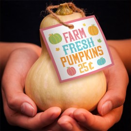 Farm Fresh Pumpkins