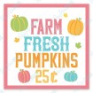 Farm Fresh Pumpkins