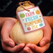 Farm Fresh Pumpkins
