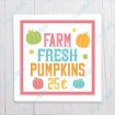 Farm Fresh Pumpkins