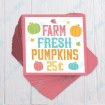 Farm Fresh Pumpkins