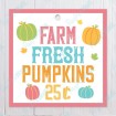 Farm Fresh Pumpkins