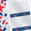 Party in the USA - Card