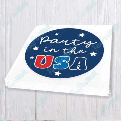 Party in the USA