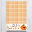 Hey There Pumpkin - Card