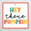 Hey There Pumpkin Square