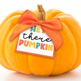 Hey There Pumpkin Square