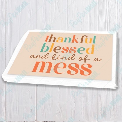 Thankful Blessed and Kind of a Mess
