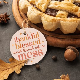 Thankful Blessed and Kind of a Mess - Circle