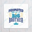 Promoted to Big Brother