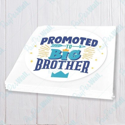 Promoted to Big Brother