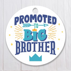 Promoted to Big Brother