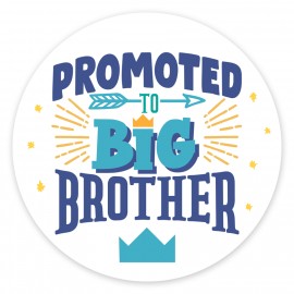 Promoted to Big Brother
