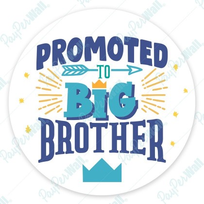 Promoted to Big Brother