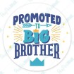 Promoted to Big Brother