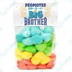 Promoted to Big Brother - Bag Topper