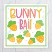 Bunny Bait