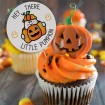 Hey There Little Pumpkin