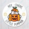 Hey There Little Pumpkin