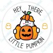 Hey There Little Pumpkin