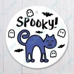 Spooky Cat